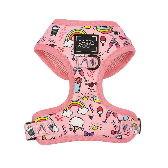 Sassy Woof Other - Sassy Woof So Fetch Dog Harness